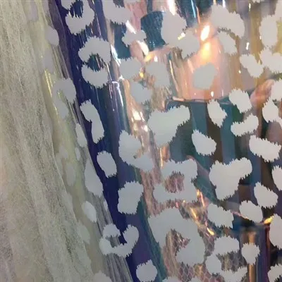 Hologram Film